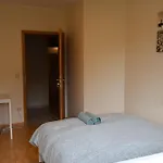 Comfort & Guest house *